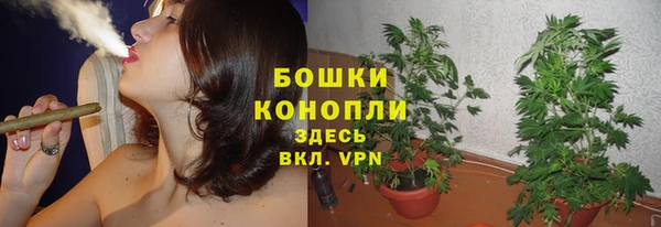 мдпв Бронницы