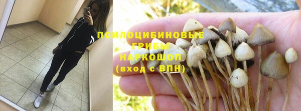 мдпв Бронницы