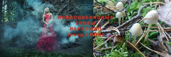 мдма Бородино