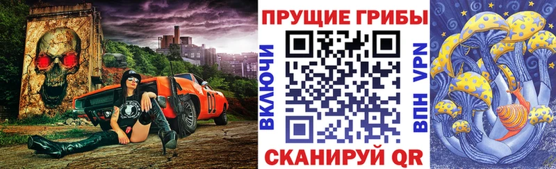 Галлюциногенные грибы Psilocybe  Купить  Олонец 
